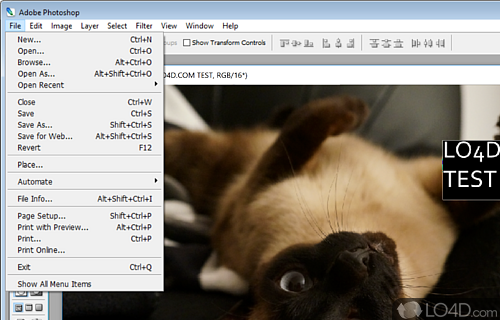 User interface - Screenshot of Adobe Photoshop CS2