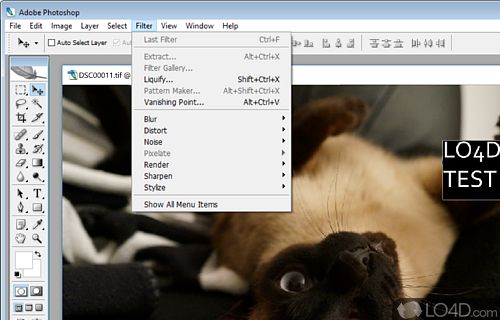 Adobe Photoshop CS2 screenshot