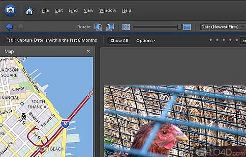 Screenshot of Adobe Photoshop Elements - Organize large photo collections, and enhance the quality of images using the generous toolset this app has to offer