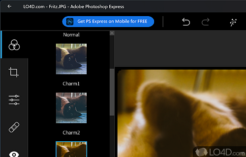 Preset filters - Screenshot of Adobe Photoshop Express