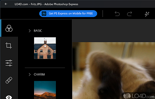 Adobe Photoshop Express Screenshot
