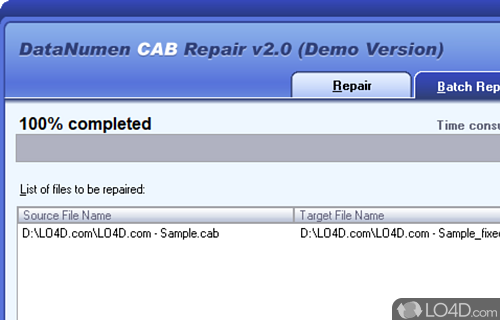 User interface - Screenshot of Advanced CAB Repair