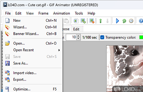 User interface - Screenshot of Advanced GIF Animator