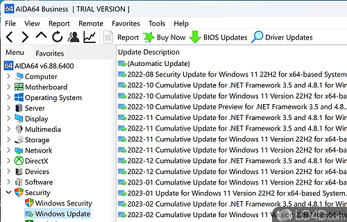 Easy and streamlined access to installed Windows updates - Screenshot of AIDA64 Business Edition