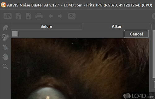 AKVIS Noise Buster Screenshot