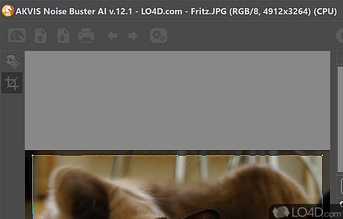 Intuitive noise-reduction utility that will surely help users clear their photographs of unwanted noise - Screenshot of AKVIS Noise Buster