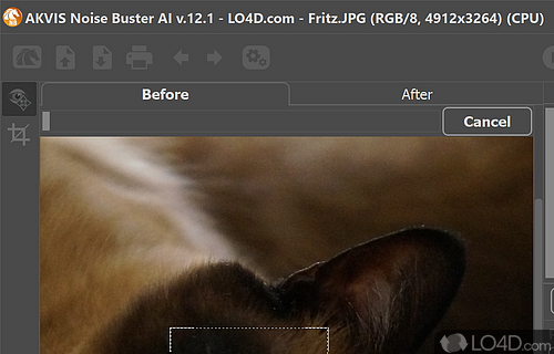 AKVIS Noise Buster Screenshot
