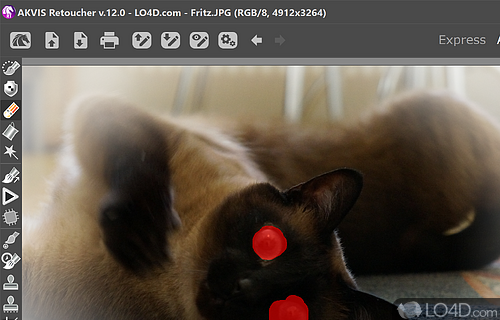 Useful application - Screenshot of AKVIS Retoucher