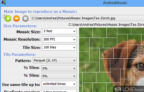 Screenshot of AndreaMosaic - Creates high-quality mosaics from different pictures