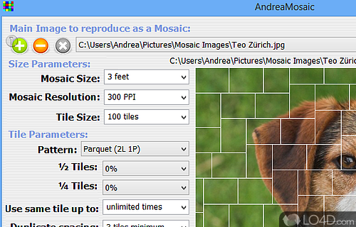 andrea mosaic software