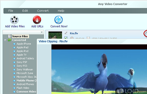 MP3, WMA, M4A, OGG, WAVE and AAC - Screenshot of Any Video Converter
