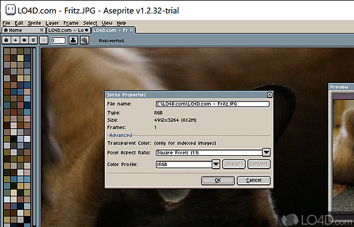 Clever file support and drawing tools - Screenshot of Aseprite