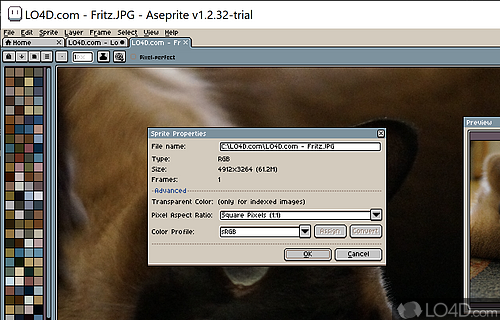 Aseprite Screenshot