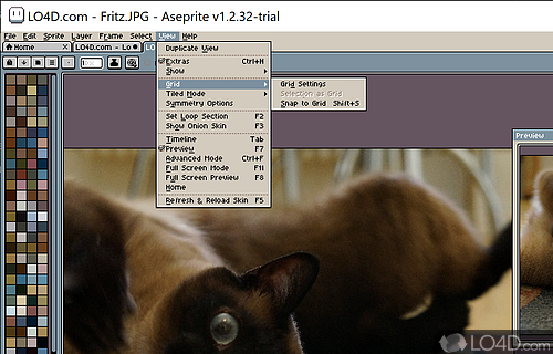 Animated sprite editor & pixel art tool for your Windows PC - Screenshot of Aseprite