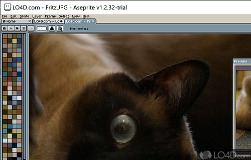 Aseprite Screenshot