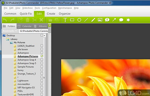 Screenshot of Ashampoo Photo Commander - Preview photos, enhance them using various tools