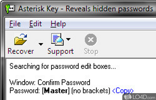 Screenshot of Asterisk Key - Utility rely on whenever you want to view the passwords that are hidden under asterisks in browsers