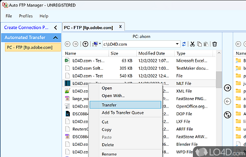 Defining a new profile - Screenshot of Auto FTP Manager