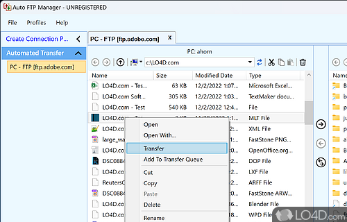 Auto FTP Manager Screenshot