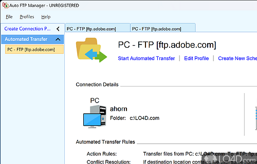 Configuration settings - Screenshot of Auto FTP Manager