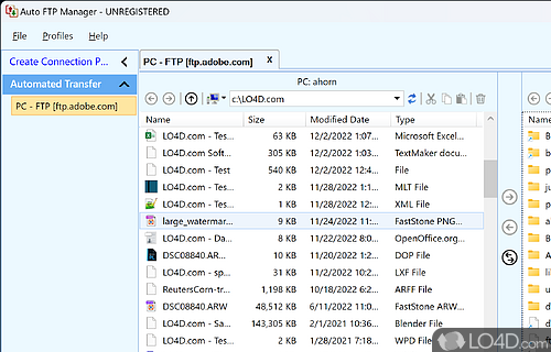 Intuitive interface - Screenshot of Auto FTP Manager