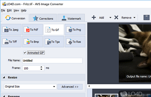 Perform image adjustments or watermark your content - Screenshot of AVS Image Converter