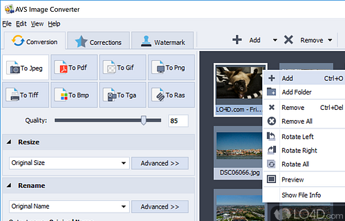 Import image files from computer and convert them in an manner, protect them with watermarks or perform certain adjustments - Screenshot of AVS Image Converter