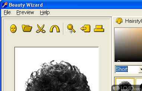 Screenshot of Beauty Wizard - User interface