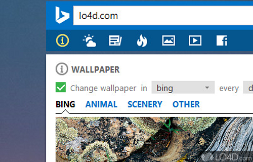 The beauty of the Bing homepage to your Windows desktop - Screenshot of Bing Desktop