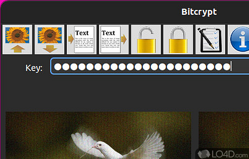 Screenshot of BitCrypt - Program designed for protecting confidential data