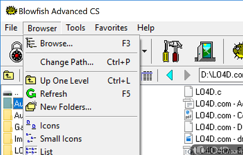User interface - Screenshot of Blowfish Advanced CS