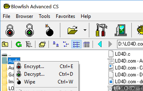 Blowfish Advanced CS Screenshot