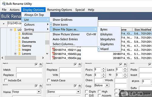 Insert or subtract custom characters - Screenshot of Bulk Rename Utility