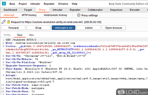 User interface - Screenshot of Burp Suite