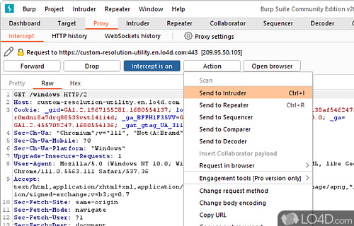 Burp Suite screenshot