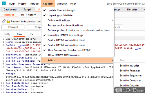 Burp Suite screenshot