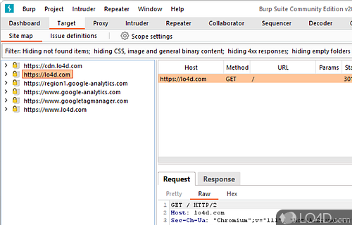 burp suite test website