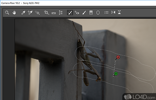 Open and edit RAW images in Photoshop - Screenshot of Camera Raw for Photoshop