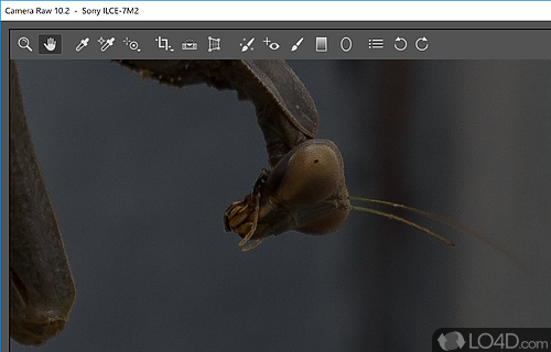 User interface - Screenshot of Camera Raw for Photoshop