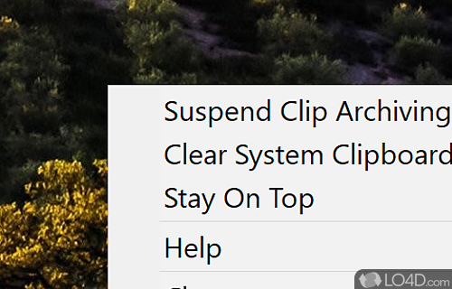 Clipboard management tool that remembers and archives text sent to the clipboard - Screenshot of Clipboard Magic