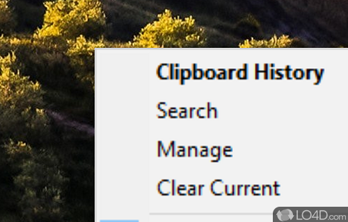 Store multiple entries in the clipboard, paste the ones of interest, manage history items - Screenshot of ClipX