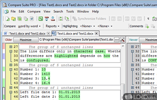 Screenshot of Compare Suite - File and folder comparison utility that allows the user to merge text and generate easy readable reports