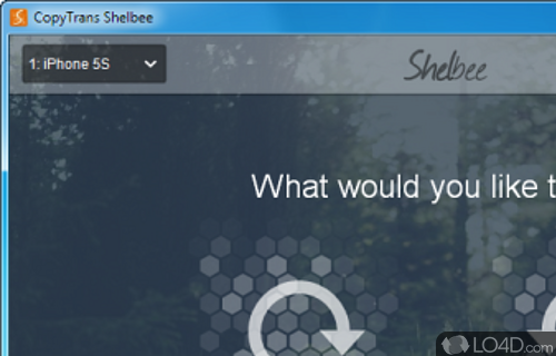 Screenshot of CopyTrans Shelbee - Software utility that can help you backup iOS device, no matter if it is an iPhone, an iPod touch