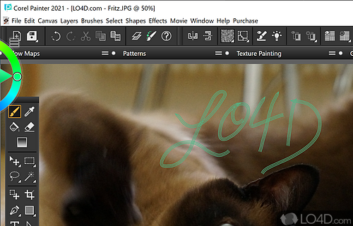 Professional digital art & painting software for Windows PC - Screenshot of Corel Painter