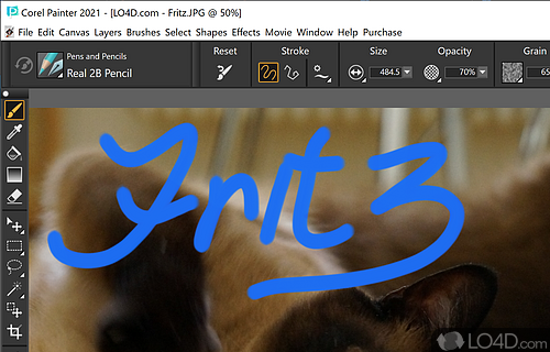 Created by PROS for PROS - Screenshot of Corel Painter
