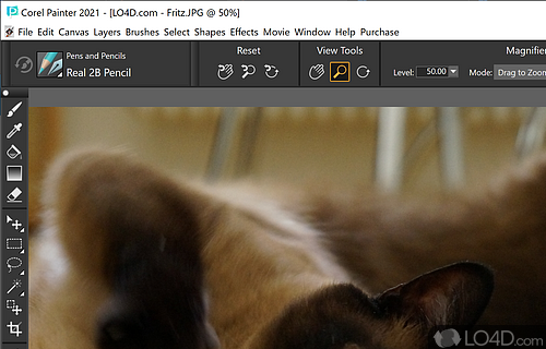 Corel Painter Screenshot