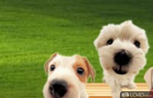 Cute Puppy Clock Screenshot