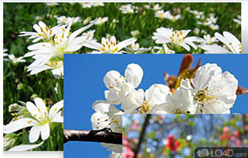 Czech Spring Theme for Windows 7 Screenshot