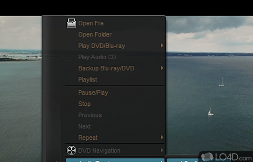 400 audio and video codecs - Screenshot of DAPlayer