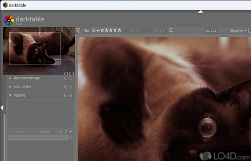 Surprisingly well-equipped utility that handles most image operations with ease - Screenshot of Darktable